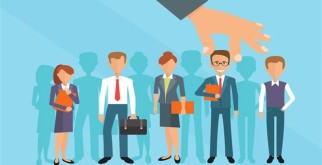 Что посадить вдоль забора: идеальные растения для вашего участка