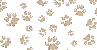 Очки Maybach: Престиж, стиль и технологии в вашем взгляде