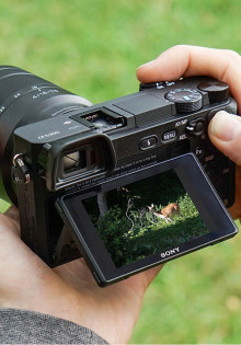 По каким параметрам выбирать цифровые фотоаппараты купить с рук?