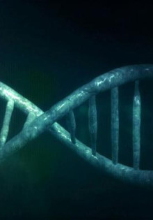 Что такое взаимозаменяемые товары-субституты и товары-комплименты?