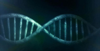 Что такое взаимозаменяемые товары-субституты и товары-комплименты?