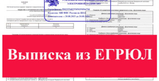 Как получить выписку из ЕГРЮЛ онлайн?