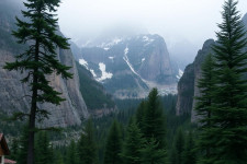 Незаконное использование фотографий на сайтах и маркетплейсах - порядок действий правообладателя