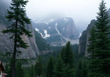 Незаконное использование фотографий на сайтах и маркетплейсах — порядок действий правообладателя