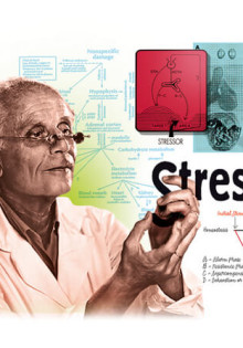 Создаем идеальный мангал из кирпича своими руками: подробные чертежи и советы