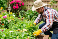 Стань мастером зелёной профессии: практическое обучение на садовника