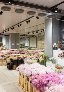 Новая модель Лады: что принесет свежий взгляд на автопром?