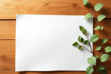 Бумага А4 — основа офисного документооборота